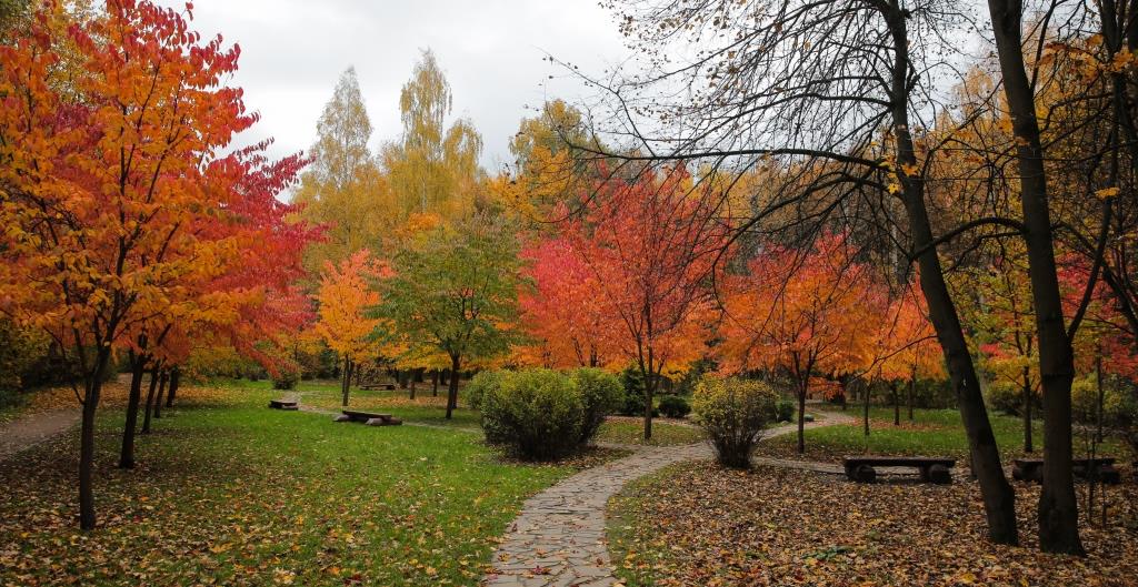 Осенняя экотерапия: в экоцентрах и на природных территориях пройдет более 30 мероприятий для души и тела - фото 3