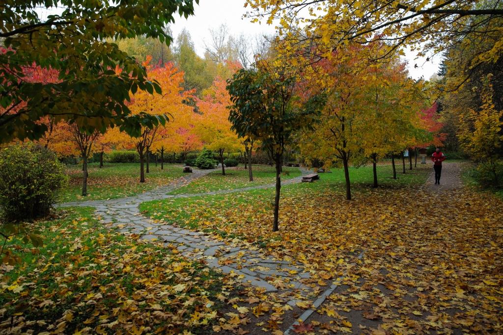 Осенняя экотерапия: в экоцентрах и на природных территориях пройдет более 30 мероприятий для души и тела - фото 2