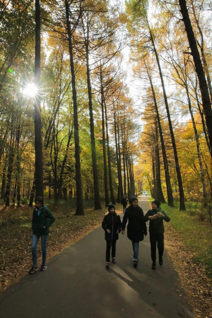 Осенняя экотерапия: в экоцентрах и на природных территориях пройдет более 30 мероприятий для души и тела - фото 1