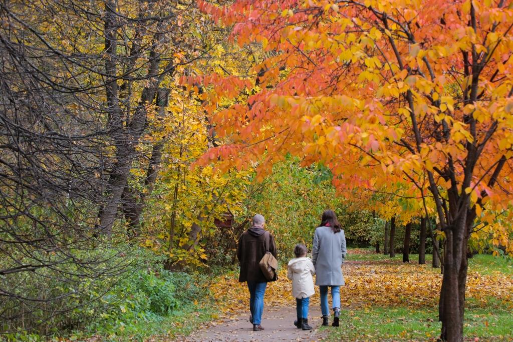 Осенняя экотерапия: в экоцентрах и на природных территориях пройдет более 30 мероприятий для души и тела - фото 6