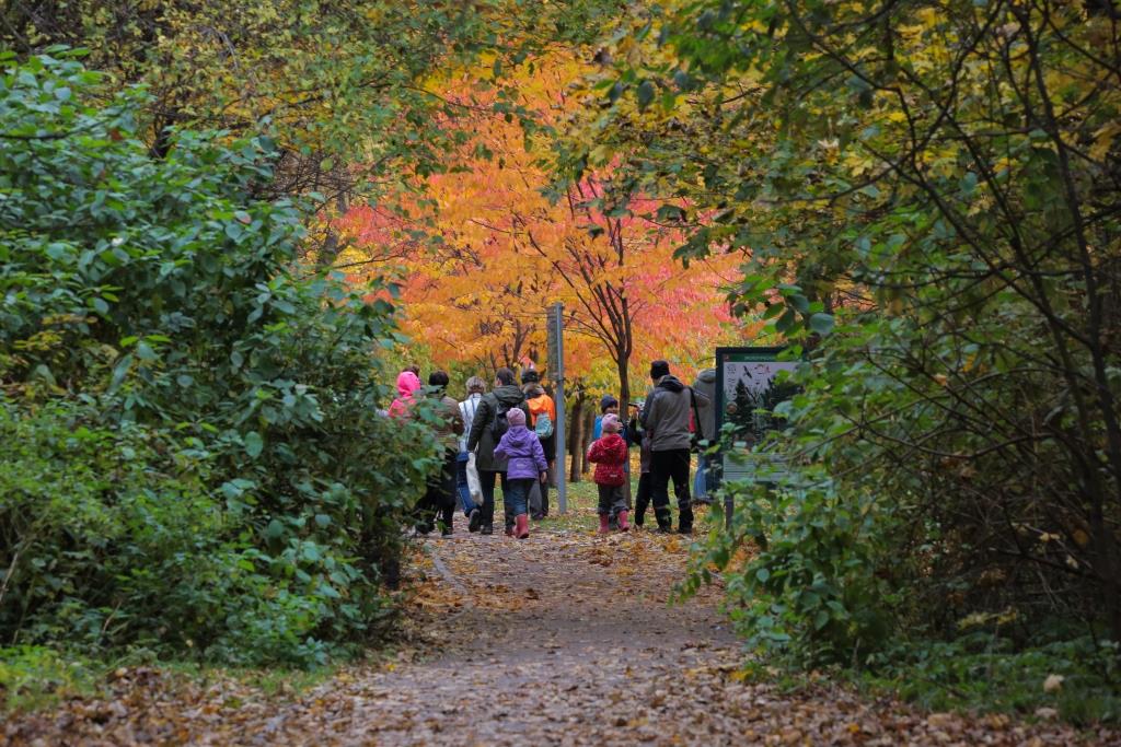 Осенняя экотерапия: в экоцентрах и на природных территориях пройдет более 30 мероприятий для души и тела - фото 4