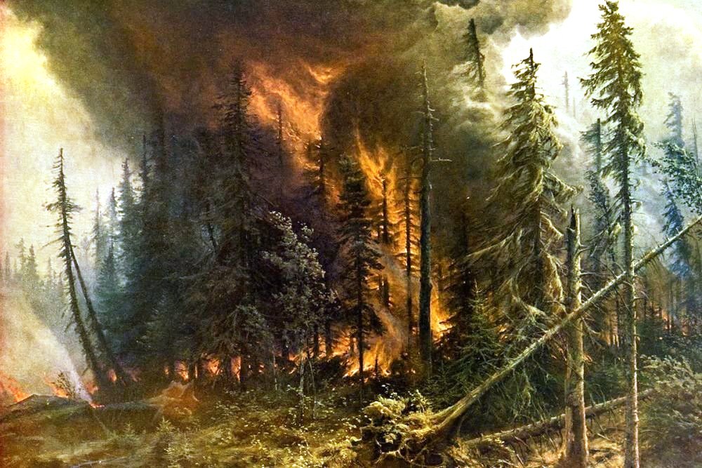 Российские леса постоянно горят, но их биомасса рекордно выросла. Как так вышло и что из этого следует? - фото 1
