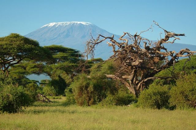 О Пути и вечности...Слоны Килиманджаро - фото 7