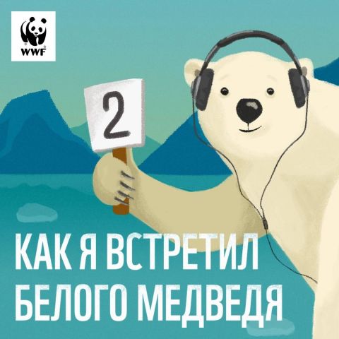 Белые медведи возвращаются во втором сезоне подкаста Всемирного фонда дикой природы - фото 1