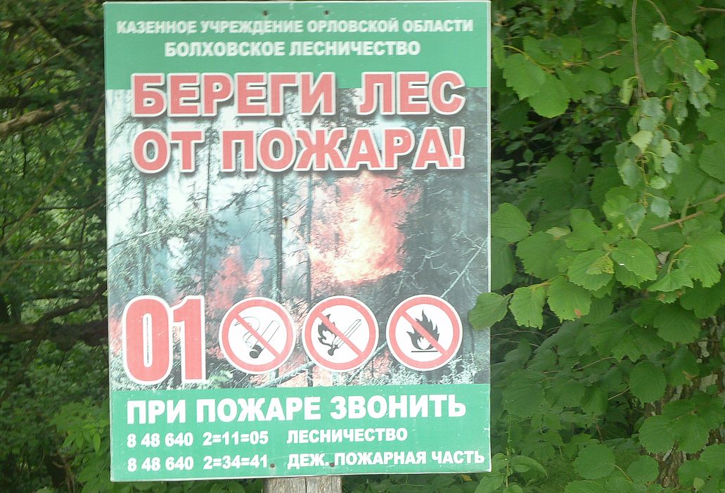 Предупредительные мероприятия в части охраны орловских лесов от пожара - фото 1