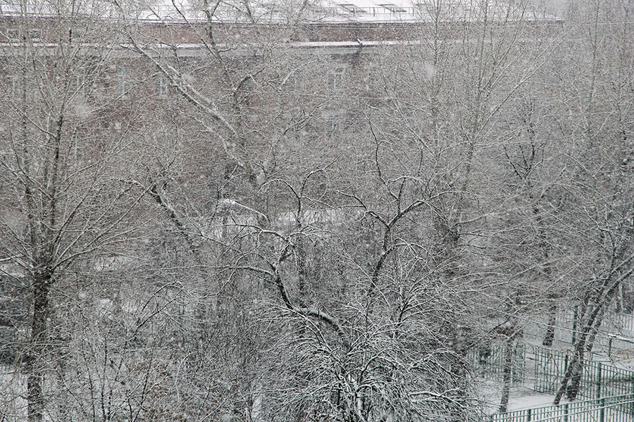 В Москве идёт снег - фото 3