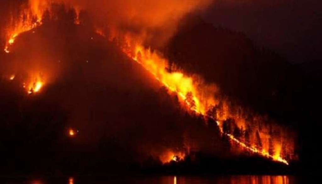  Площадь горящих в Сибири лесов на понедельник составила 180 тысяч га - фото 1