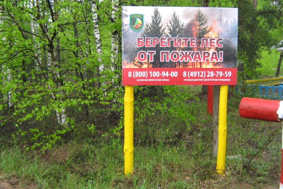 Противопожарное обустройство лесов продолжается в Рязанской области - фото 1
