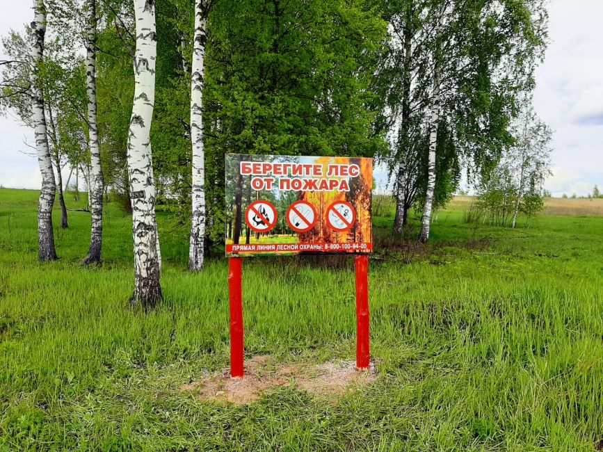 В Костромской области продолжается выполнение мероприятий по противопожарному обустройству лесов - фото 1